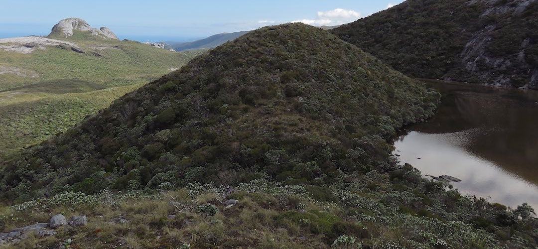 The Lake  at Mt Allen with Lees Knob lurking beyond. | Tin Range, Stewart Island