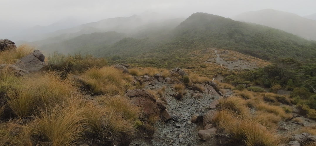near Rocks Hut in Mt Richmond Forest Park